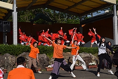 「よさこい」の画像