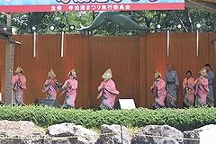 「寺泊港まつり」の画像