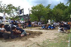 「全日本樽みこし綱引き選手権大会」の画像