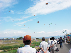 「今町・中之島大凧合戦」の画像1