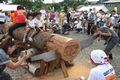 「三島まつり」の画像