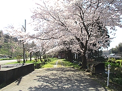 「日蓮宗北の本山　妙法寺」の画像2