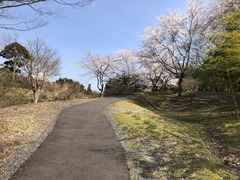 「良寛の里美術館」の画像