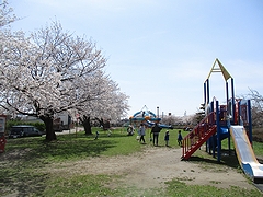 河川緑地たちばな公園