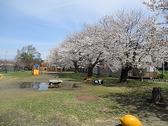 河川緑地たちばな公園