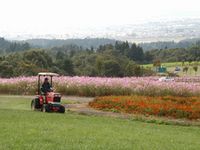 ふれあい農業公園