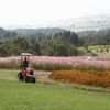 「ふれあい農業公園」の画像