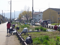 「旧寺泊線鉄道敷環境美化事業」の画像