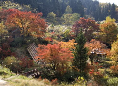 「紅葉が招く」の画像