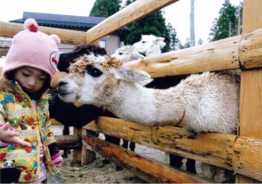 「可愛い、カワイイ」の画像