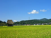 「相野原観音堂」の画像