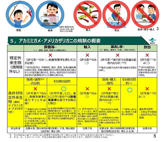 「規制の概要」の画像