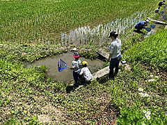 「田んぼの生き物観察会」の画像1