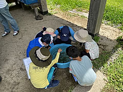 「田んぼの生き物観察会」の画像2