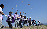 記事「迫力の空中戦！今町・中之島大凧合戦は1日から」の画像