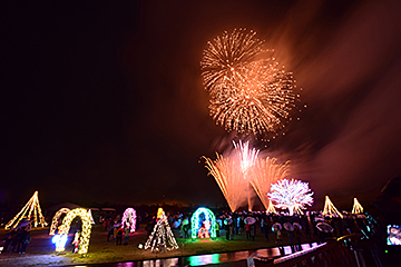 「地上のイルミネーションと夜空の花火2」の画像