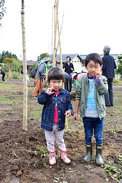 「立派に花を咲かせる姿が楽しみです」の画像