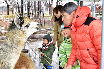 「長岡雪しか祭りの様子」の画像2