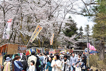 「悠久山桜まつりは花見客で大にぎわい」の画像