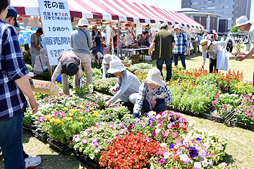 「花と触れ合うコーナーで盛り沢山」の画像