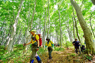 「登山ルートは複数あります」の画像1