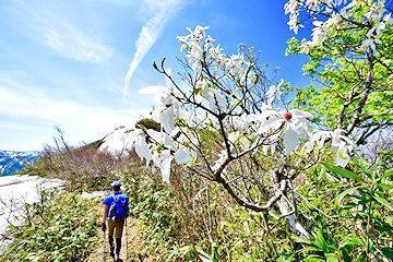 「登山ルートは複数あります」の画像4