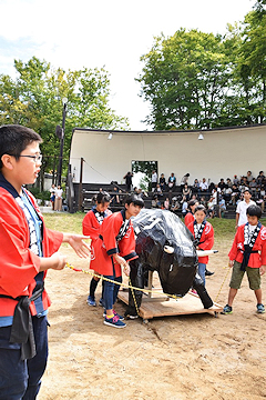 「牛のオブジェ（黒い闘牛）」の画像