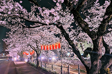 「柿川沿い」の画像6