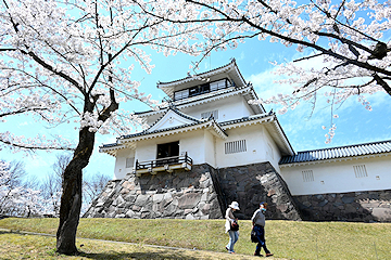 「悠久山公園」の画像1