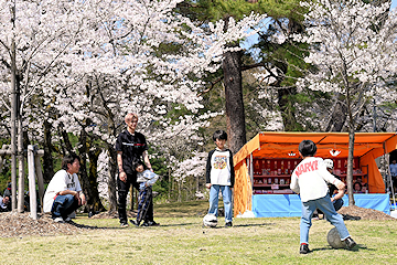 「悠久山公園」の画像2