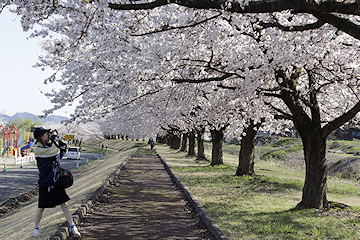 「越路河川公園」の画像