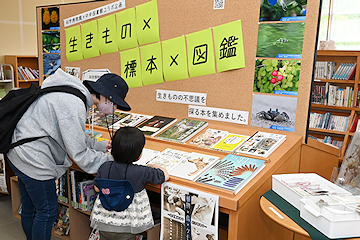 「生き物などに関連した本の展示コーナーを設置しています」の画像