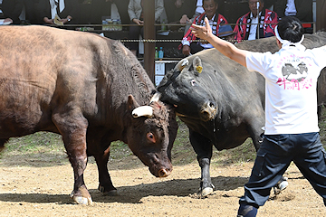 「見どころ満載の特別な大会に」の画像2