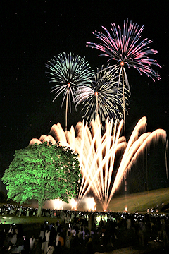 「バラをイメージした花火」の画像2