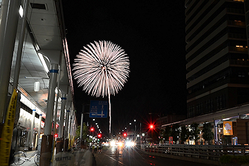 「慰霊花火「白菊」」の画像2