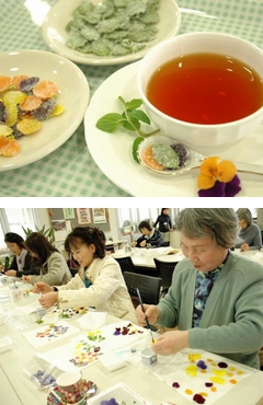 「気軽に楽しもう！お花の砂糖がけとお茶タイム♪」の画像