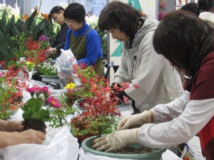 「株と株の間に土を入れ込みながら植えます」の画像