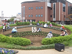 「「雪が降っても丈夫な花苗を植栽」を画像」の画像