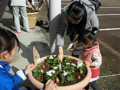 「ふかふかの土に植え付けます」の画像