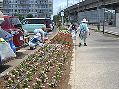 「花がら摘み、除草など（東側花壇）」の画像