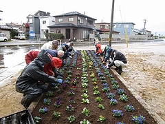 「みんなで花植え」の画像