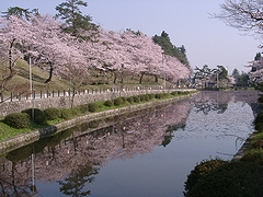 「悠久山公園（通称：おやま）」の画像