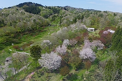 「雪国植物園（西陵の森）」の画像1