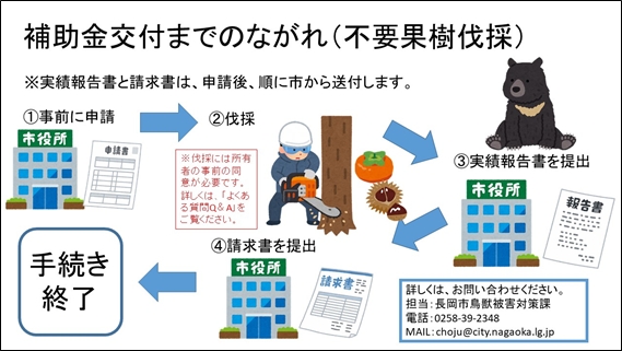 「補助金交付までのながれ」の画像