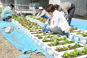 「住民が育てた花で会場周辺を飾る取り組みを」の画像