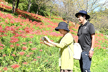 「一面が深紅色に」の画像