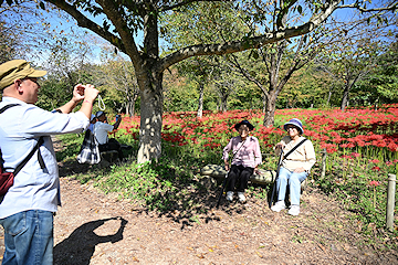 「花に癒やされながら里山の散策を」の画像