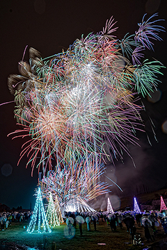 「色とりどりの花火を打ち上げ」の画像5