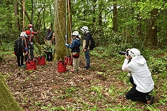 「市民リポーター」の画像